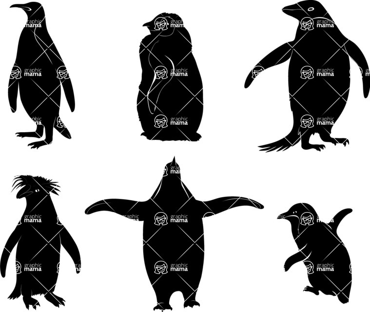 Vector silhouettes - Vector Penguin Silhouettes Set